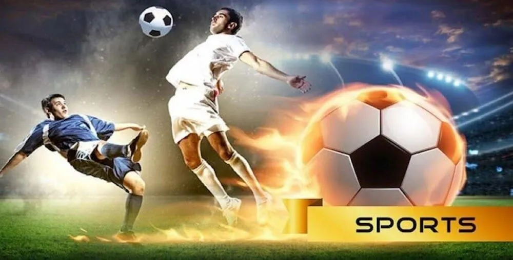 Trải nghiệm cá cược thể thao đa dạng tại Panda Sports DP568